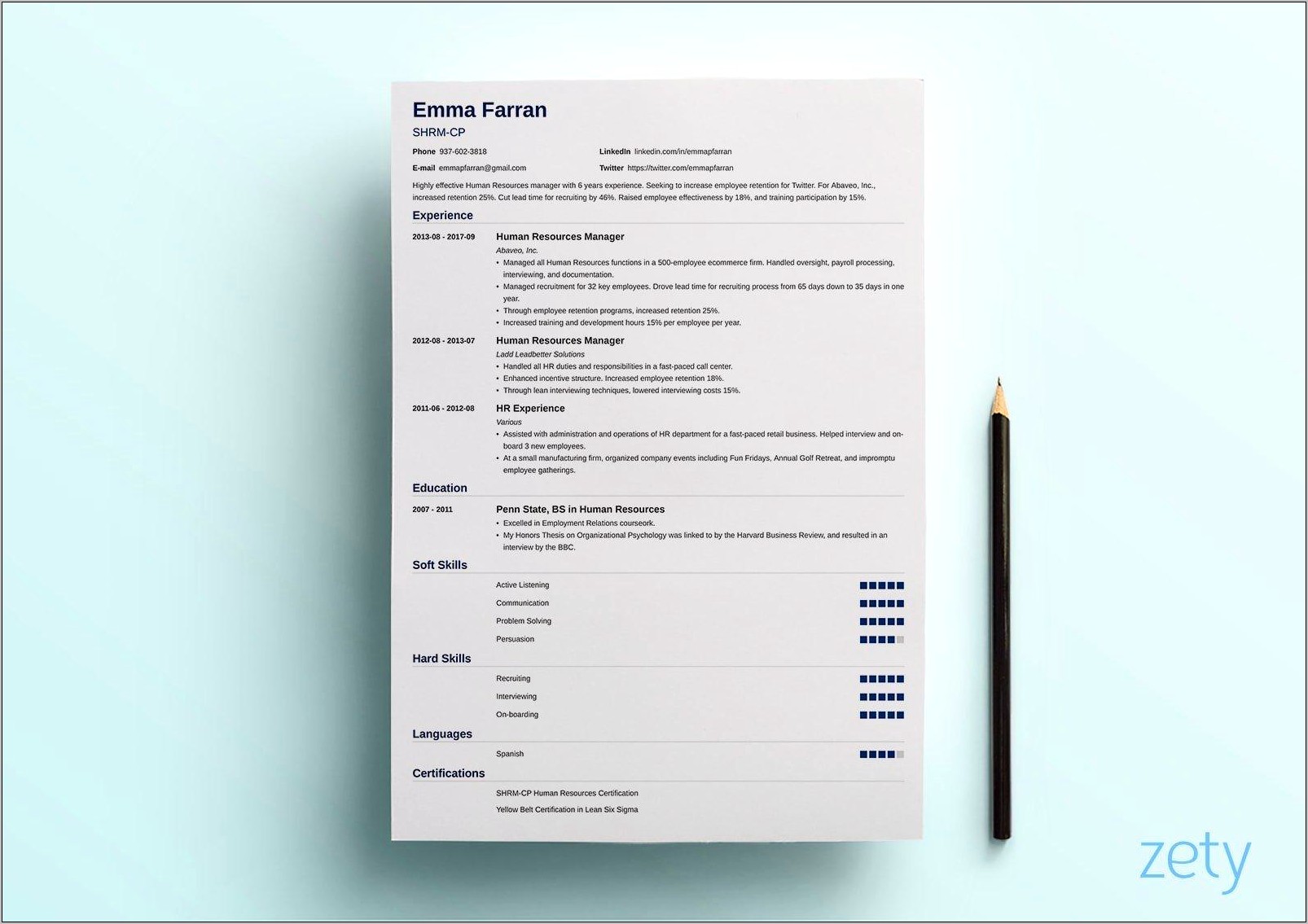 Sample Resume Format Download In Ms Word 2007