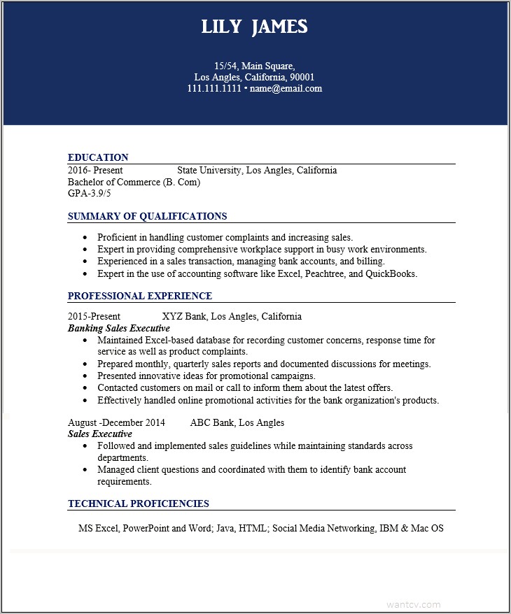 Sample Resume Format For Banking Sector Freshers