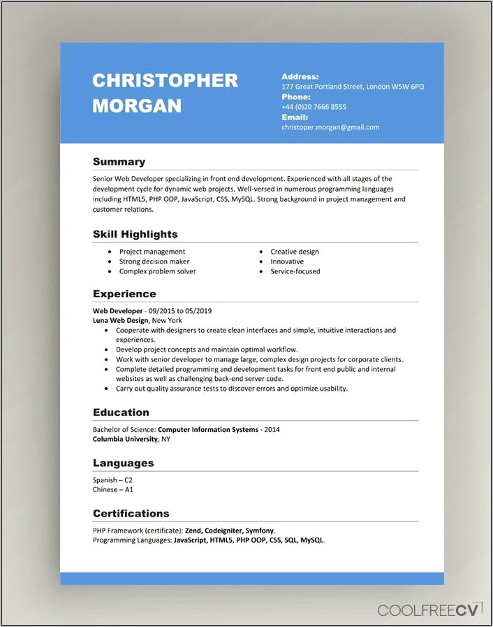 Sample Resume Format For Experienced Candidates Pdf