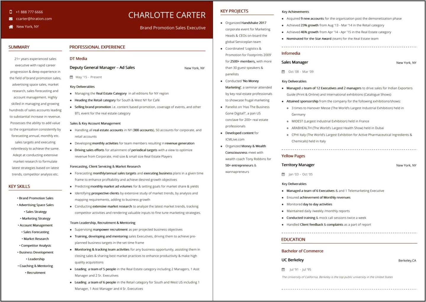 Sample Resume Format For Sales Executive