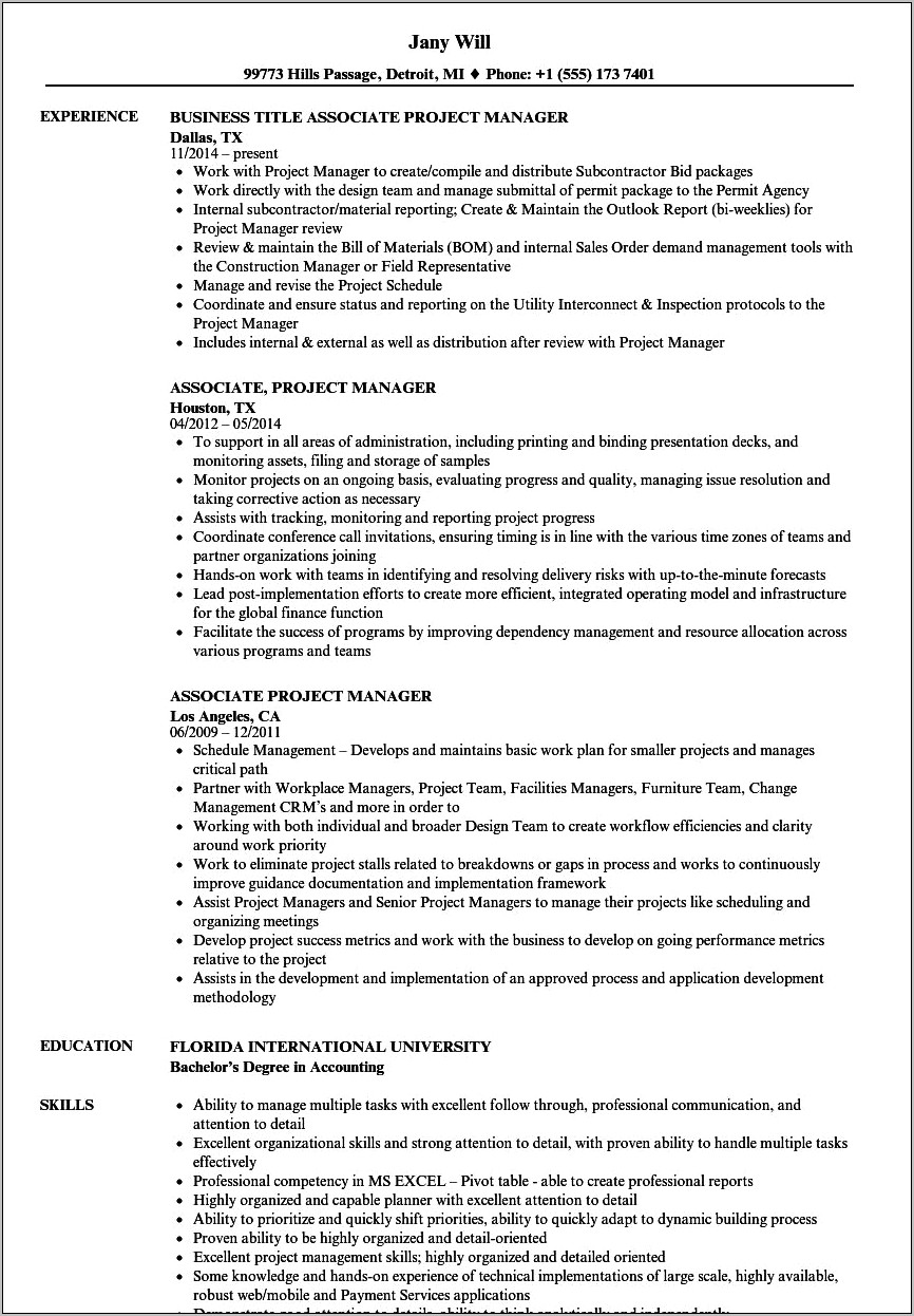 Sample Resume It Project Manager India