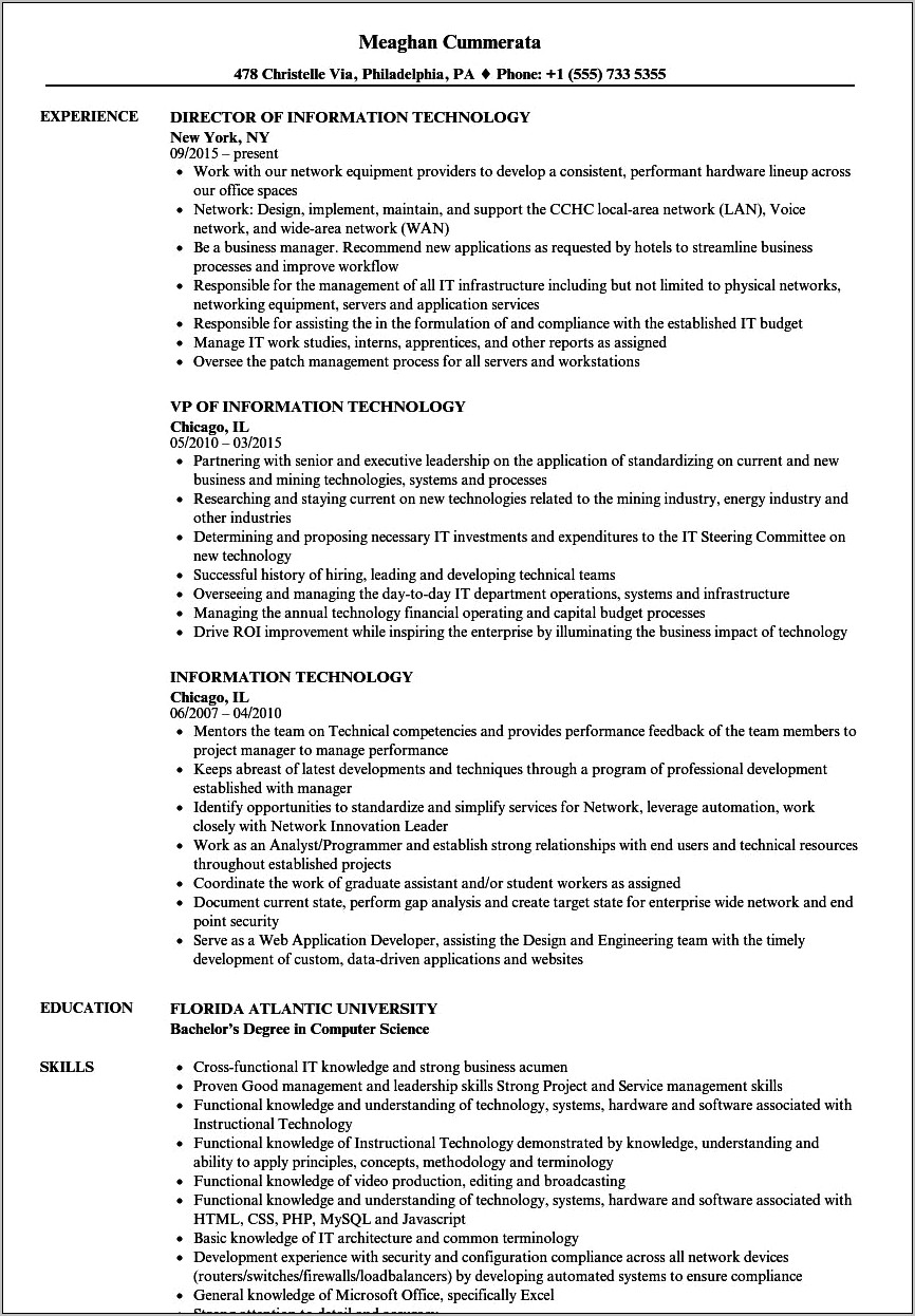 Sample Resume Job Summary For Information Technology