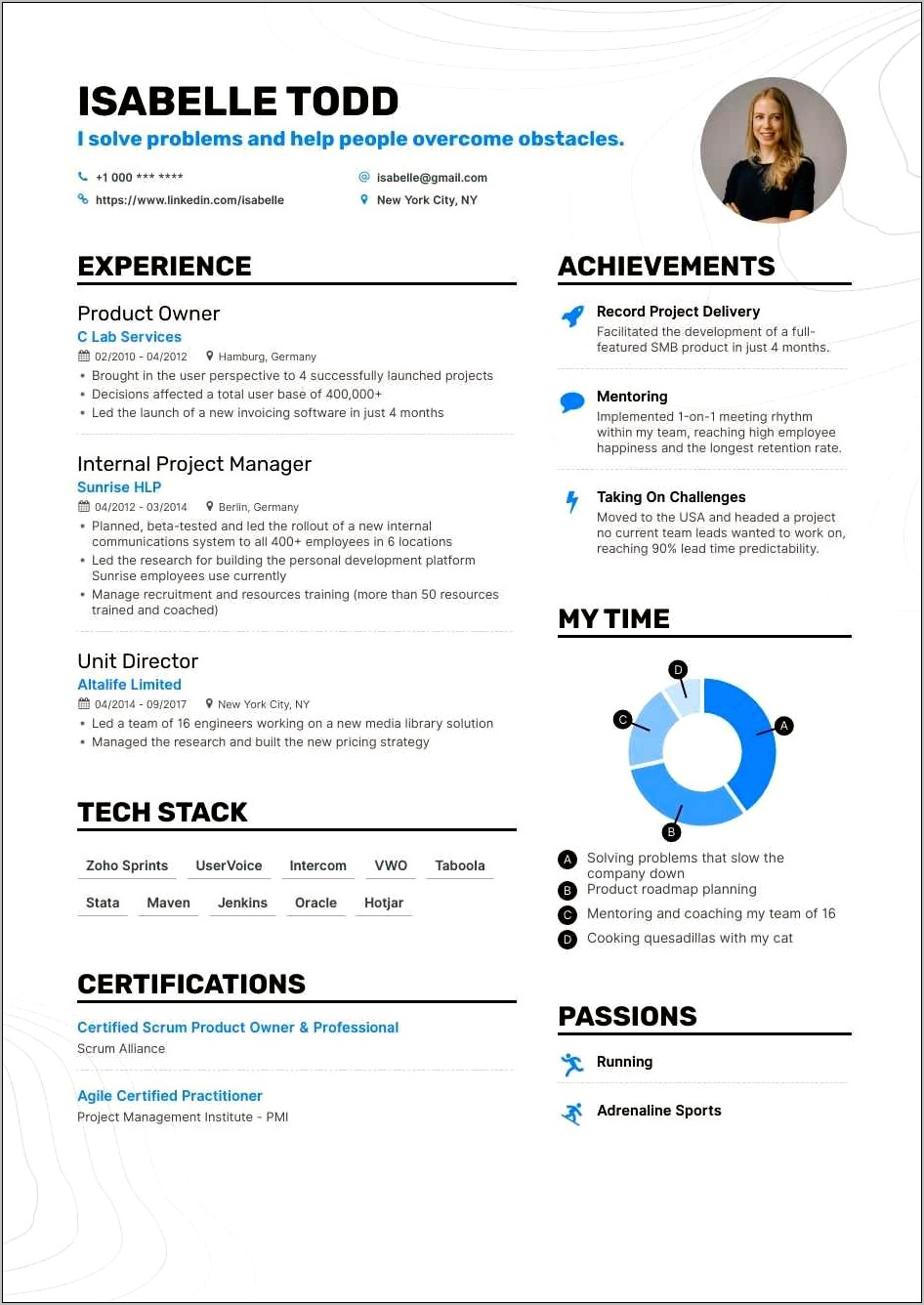 Sample Resume Of Chief Executive Officer
