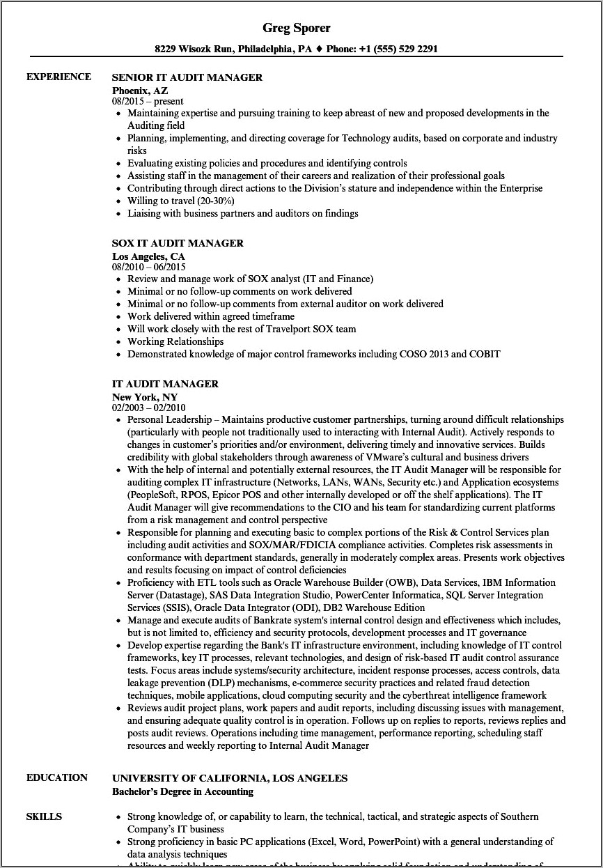 Sample Resume Of External Audit Manager
