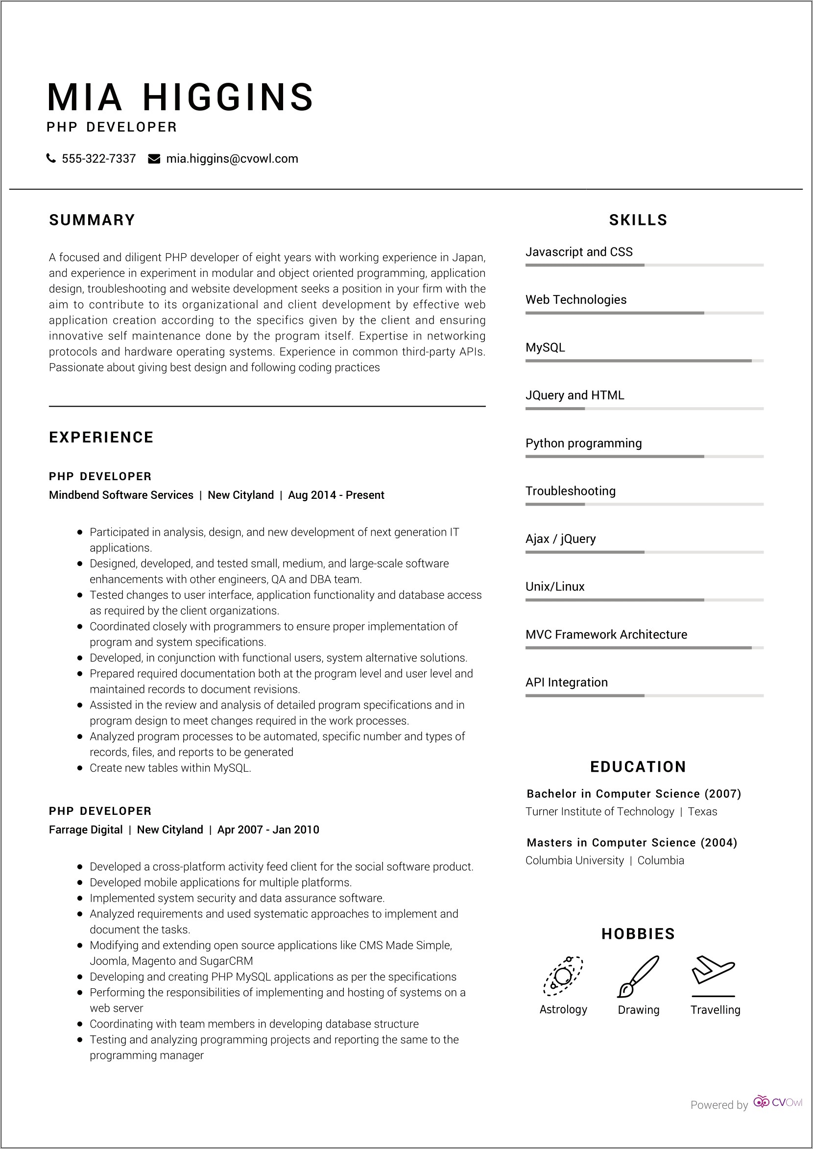 Sample Resume Of Mock Up Developer