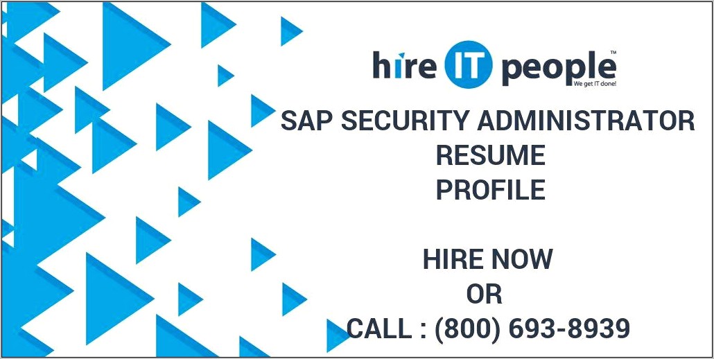 Sample Resume Sap Audit Security And Compliance Director