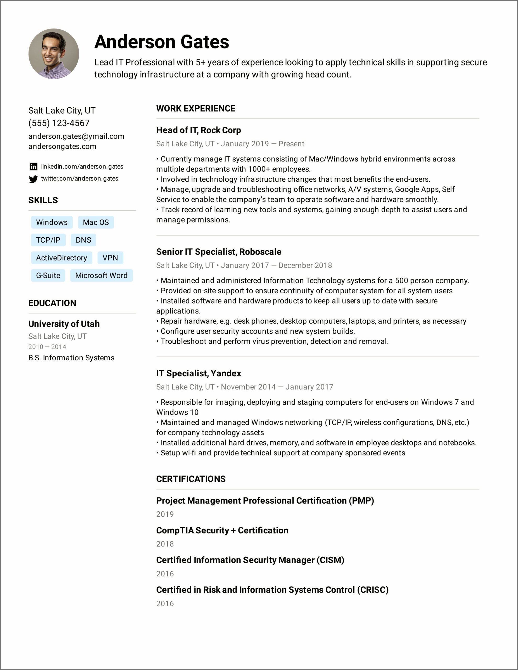 Sample Resume Summary For A Lead Specialist Job