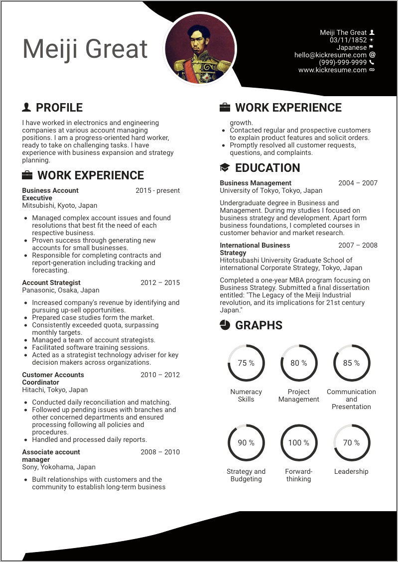 Sample Resume Summary For Account Manager
