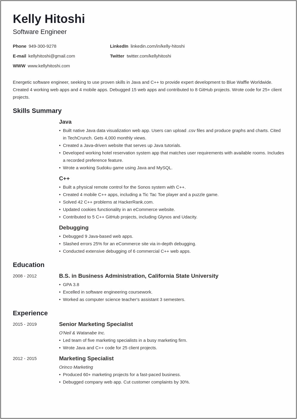 Sample Resume Summary For It Professional
