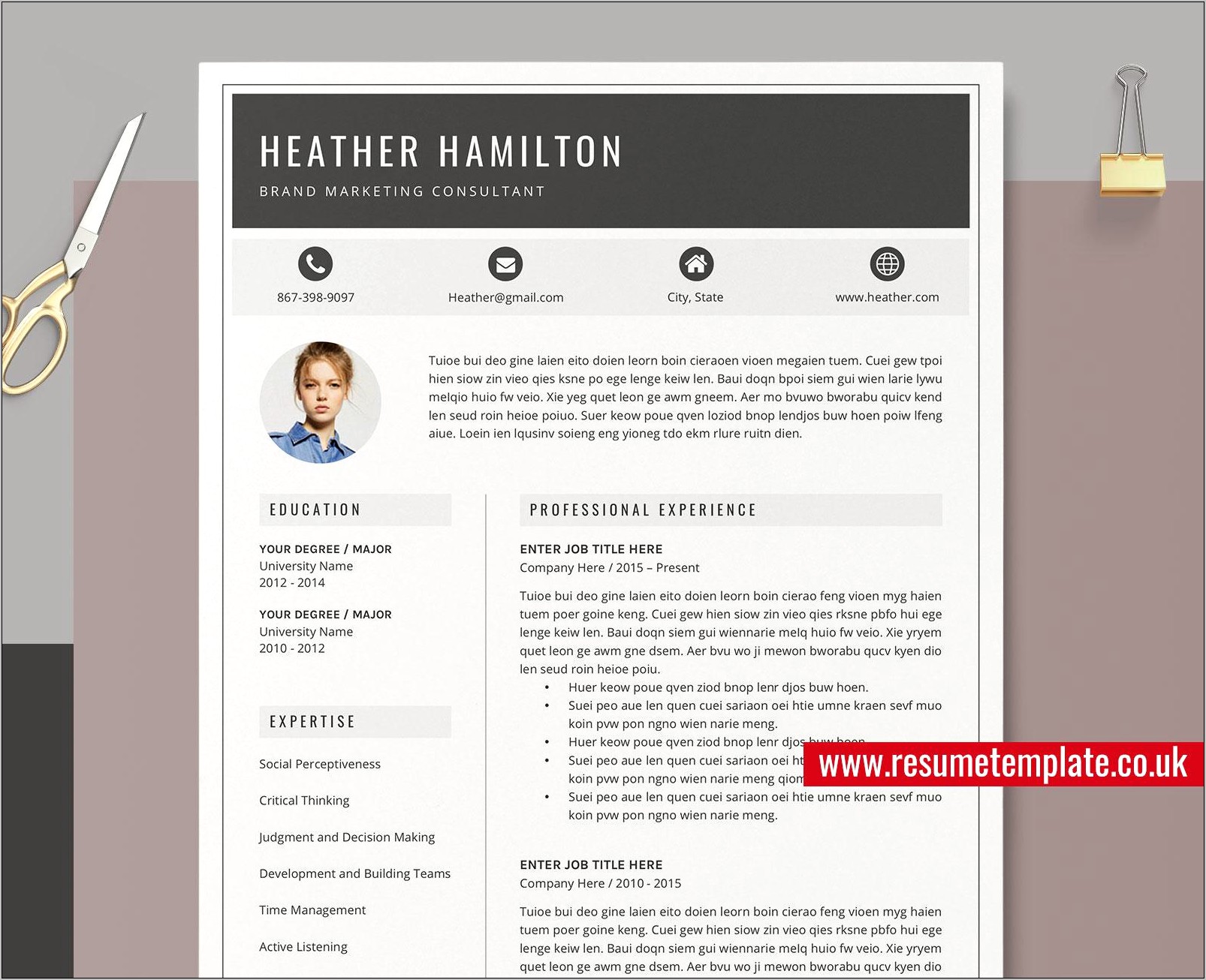 Sample Resume Template For It Professional