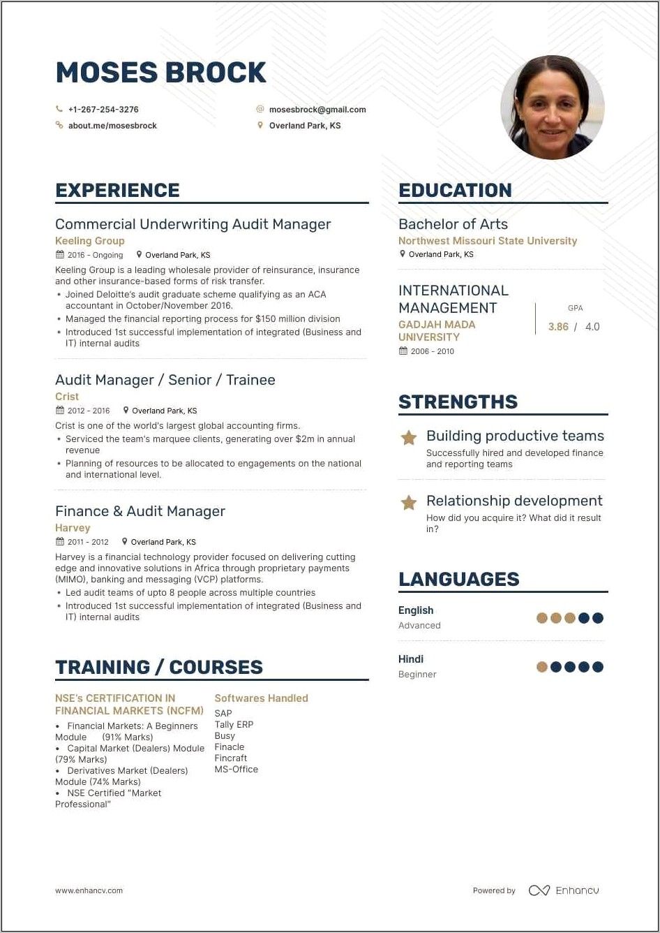 Sample Resume With Big 4 Experience