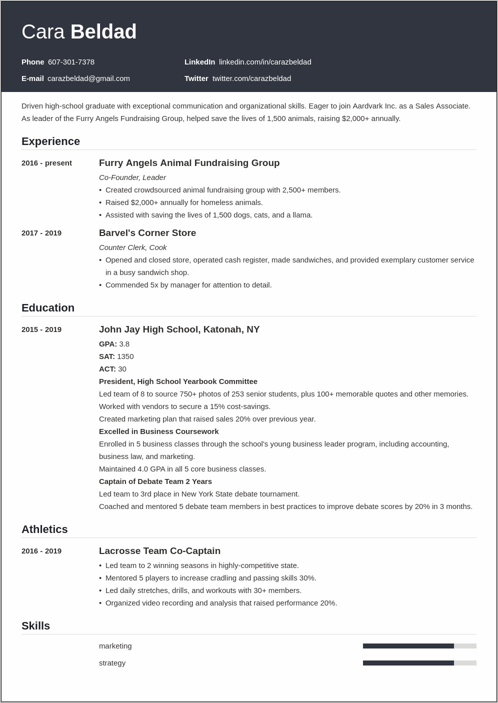 Sample Resume With No Experience And No School
