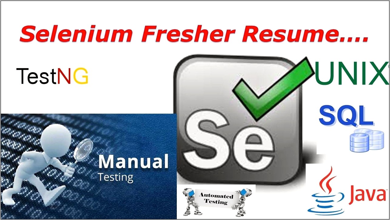 Sample Selenium Resume For Ecommerce Domain