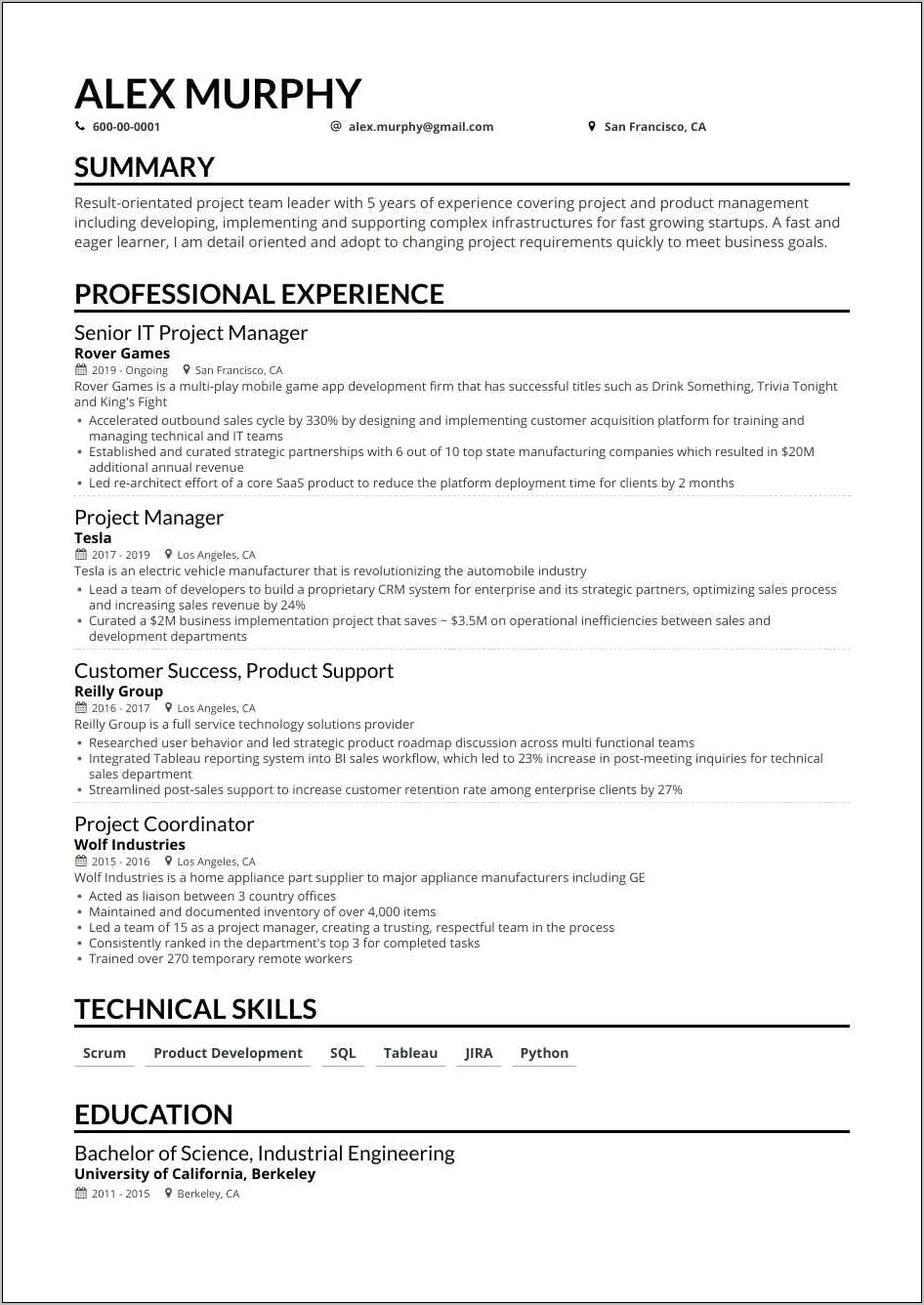 Samples Of Summary For Resume For Project Manger