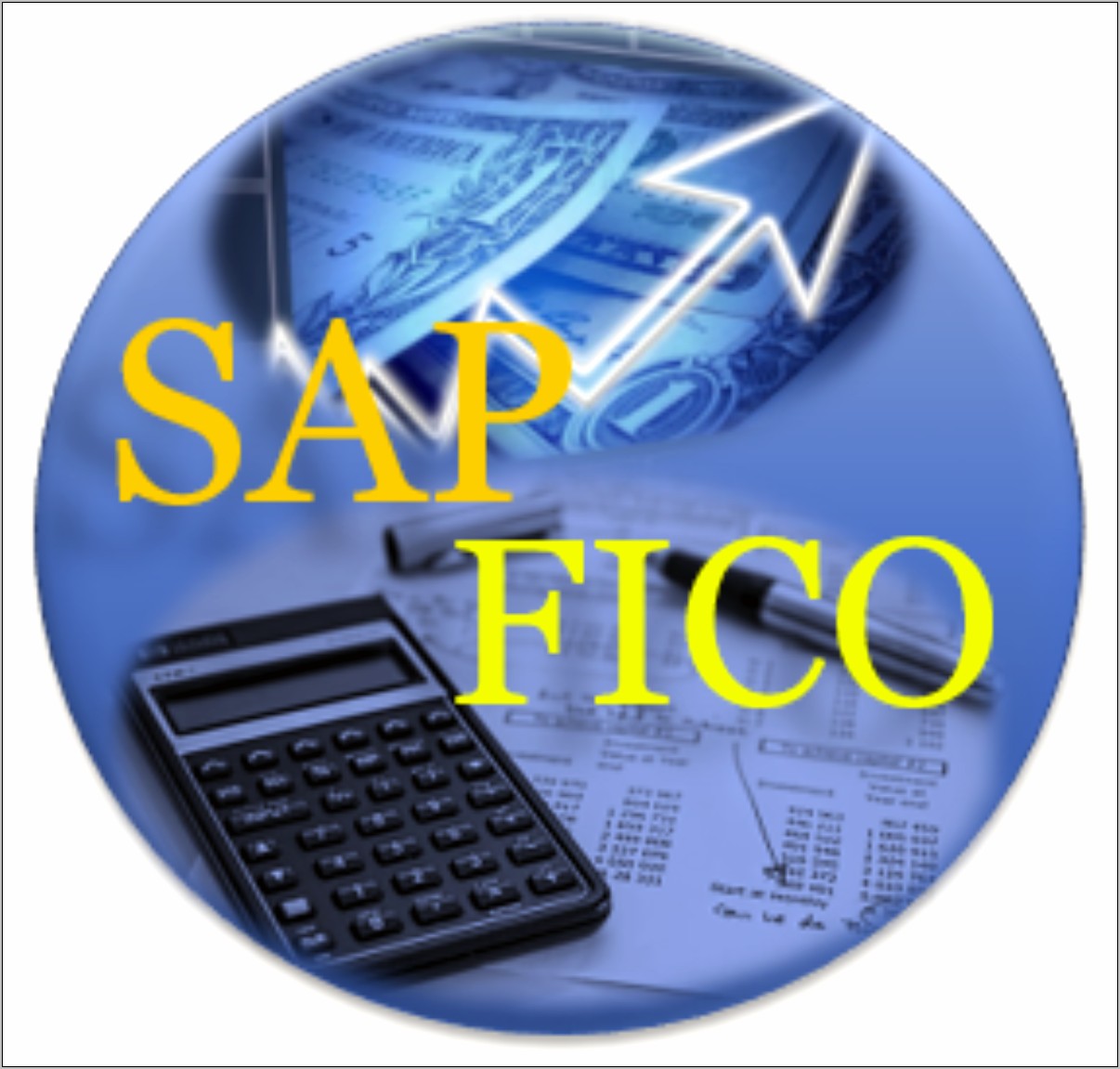 Sap Fico Resume With Domain Experience