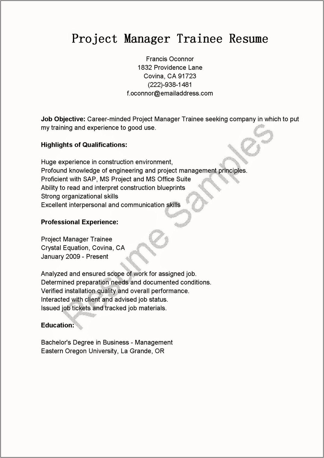 Sap Project Manager Resume Sample Doc