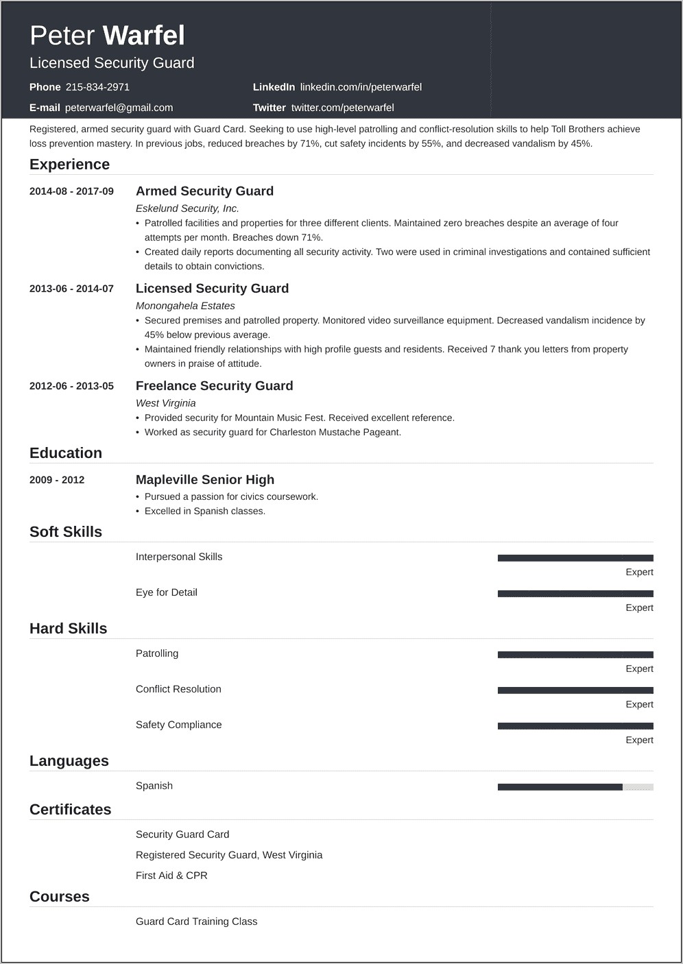 Security Guard Professional Summary For Resume
