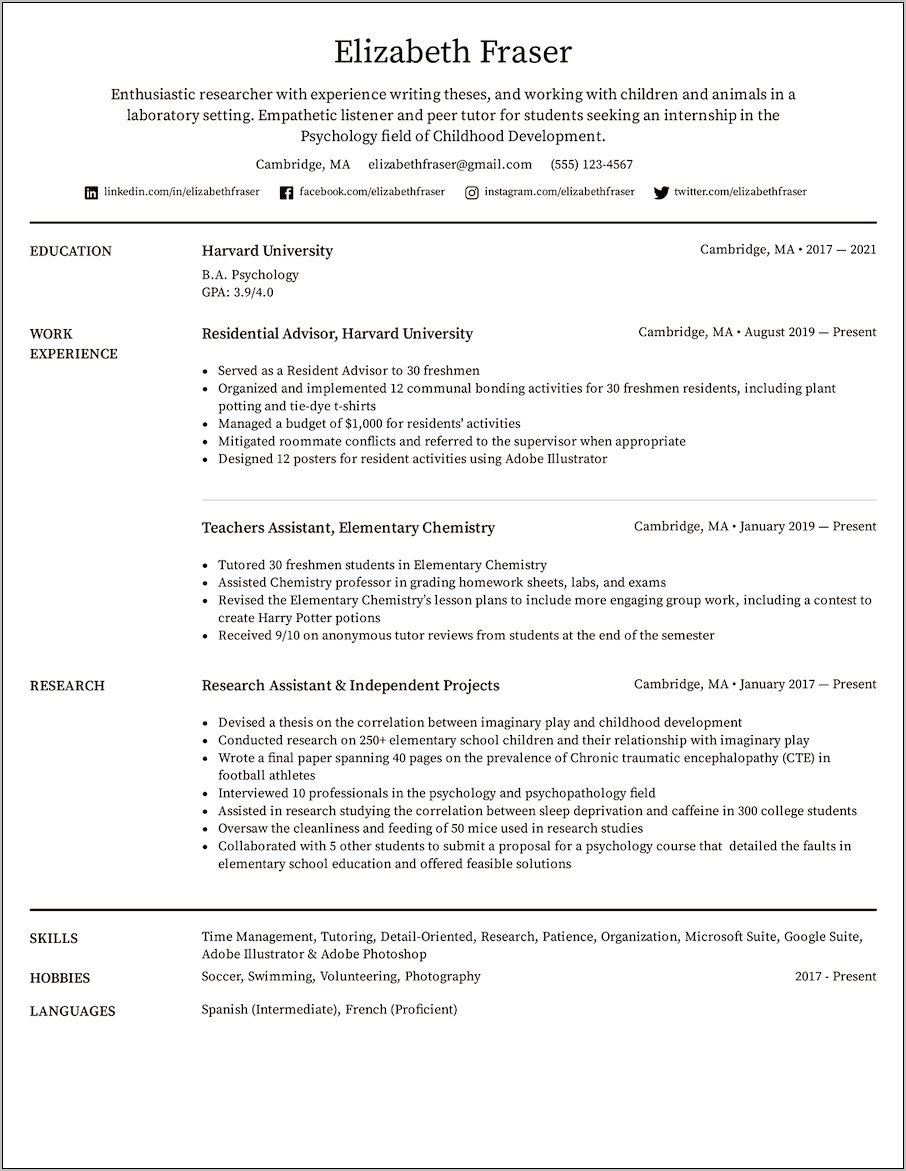 Simple Professional Resume Template With No Work Experience