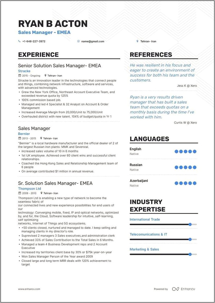 Skills Examples For Sales Manager Resume