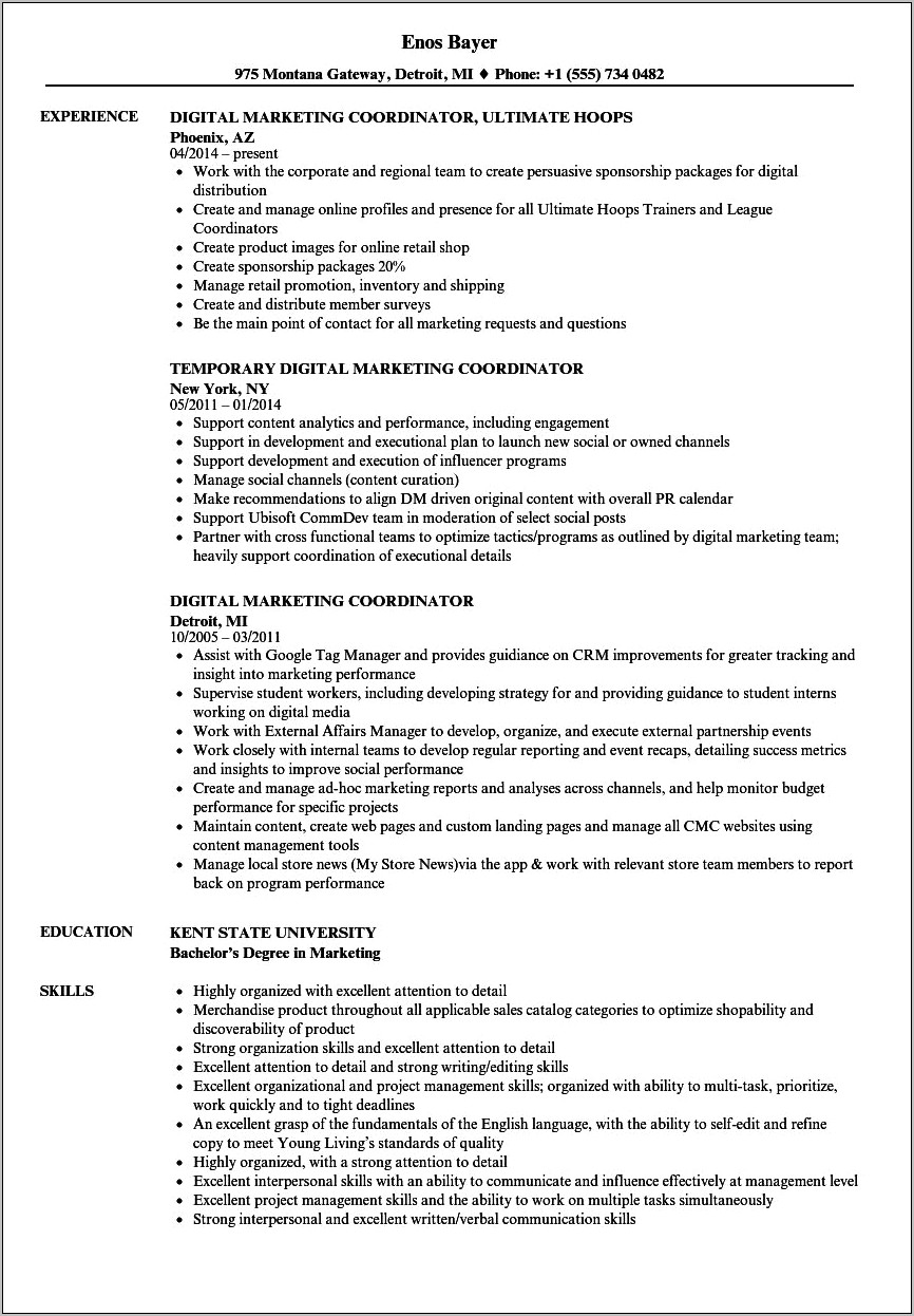 Social Media Coordinator Resume Without Experience