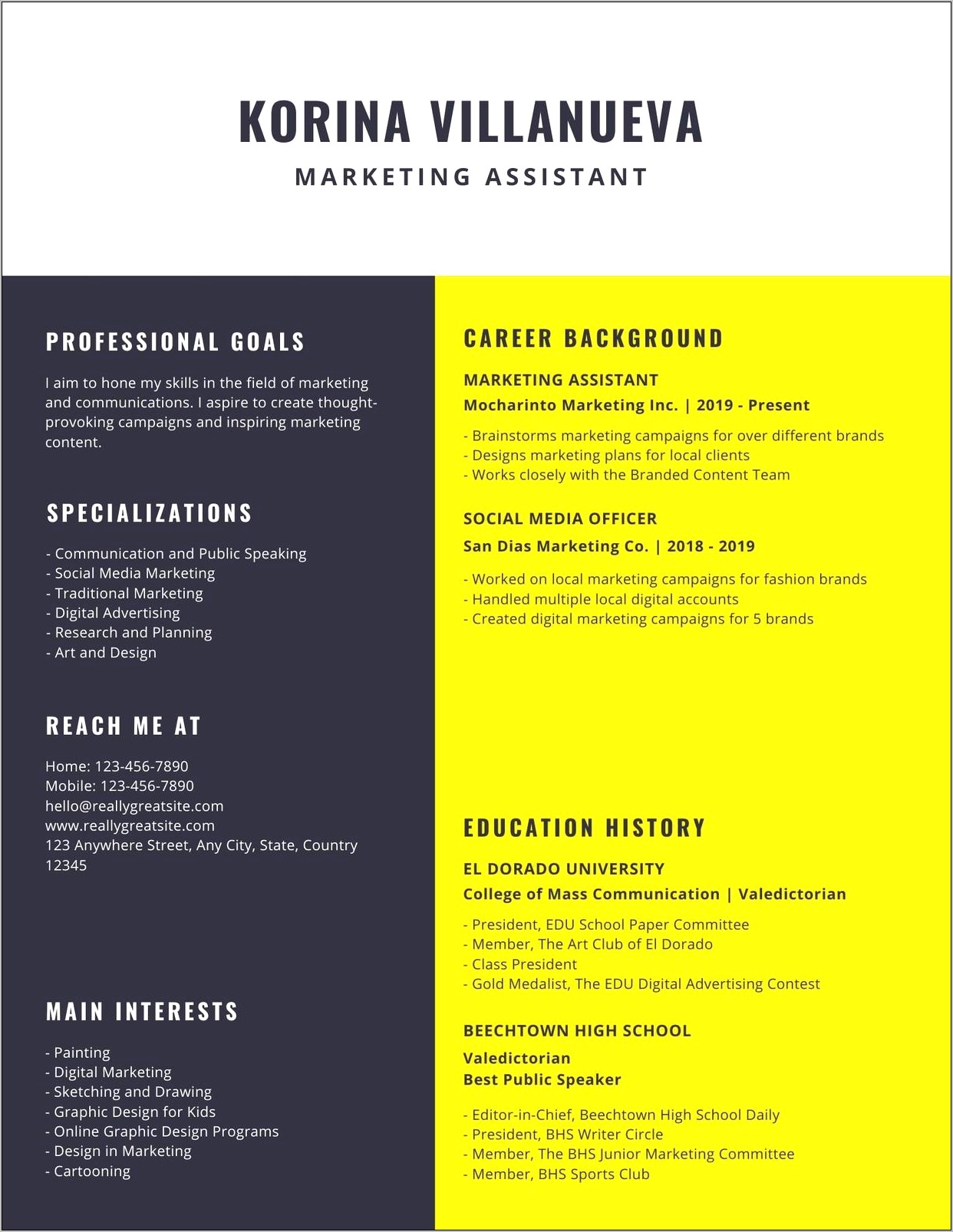 Social Media Resume Infographic Template Canva