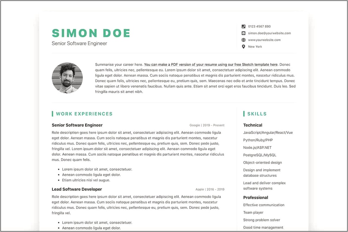 Software Engineer Resume Template Free Download