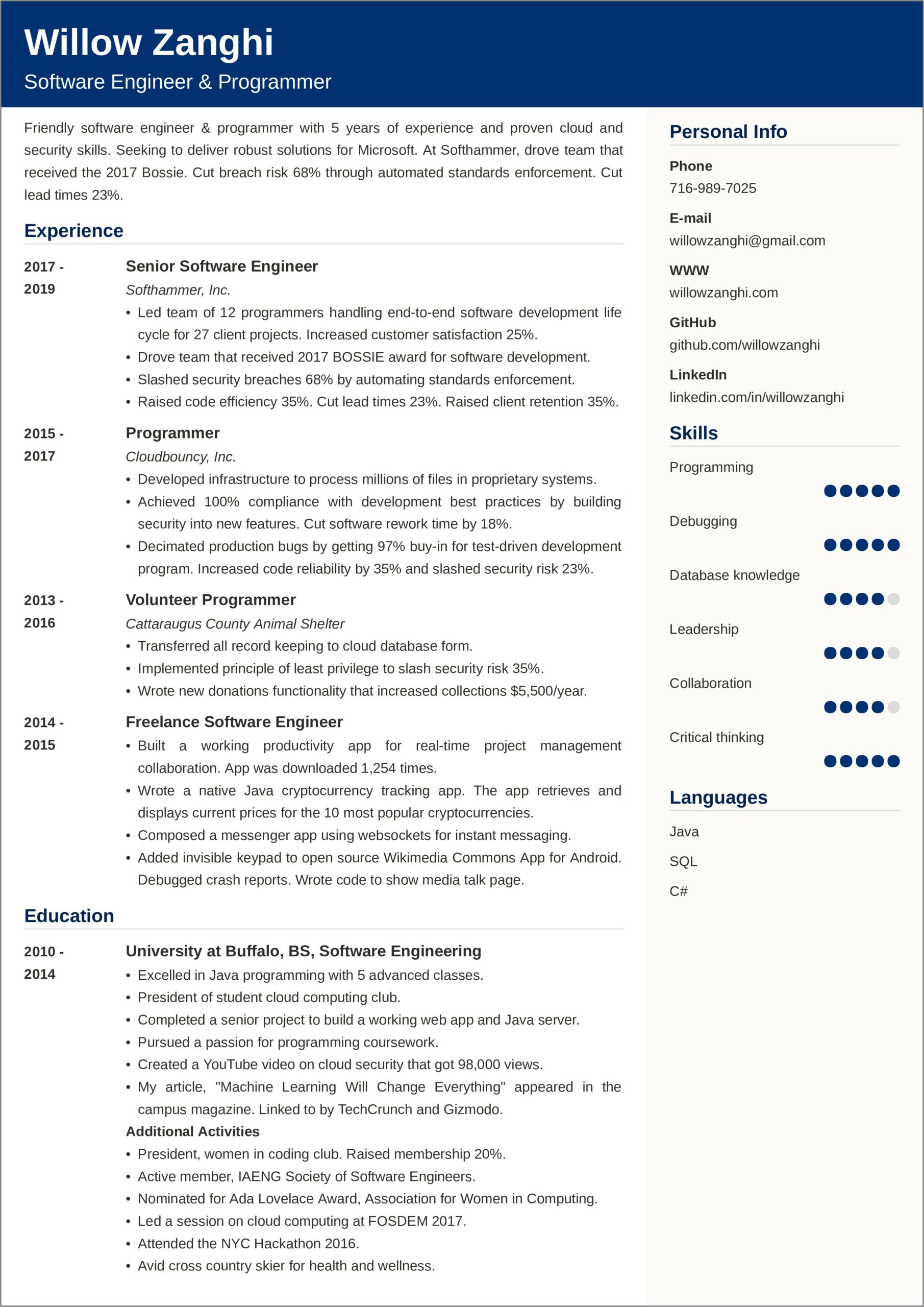 Software Engineer Summary For Resume Examples