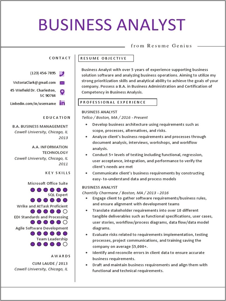 Software Skills For Business Analyst Resume