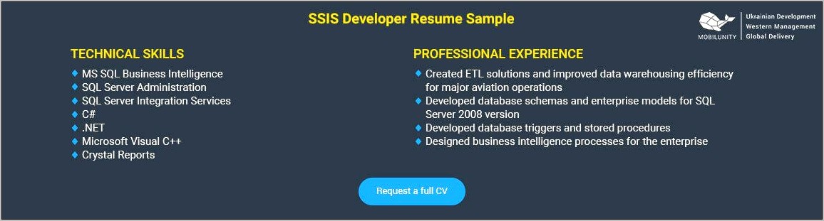 Ssis Resume For 10 Years Experience
