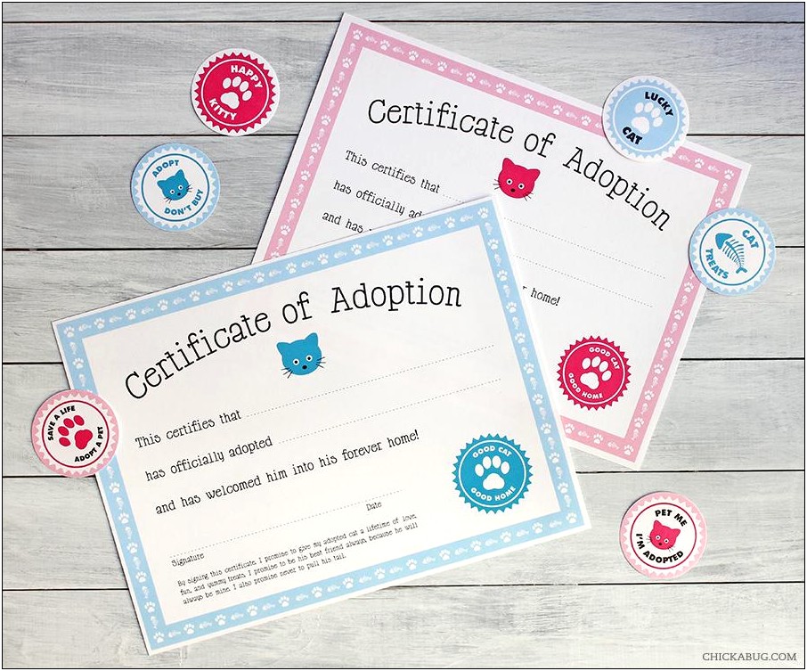 Stuffed Animal Adoption Certificate Template Free