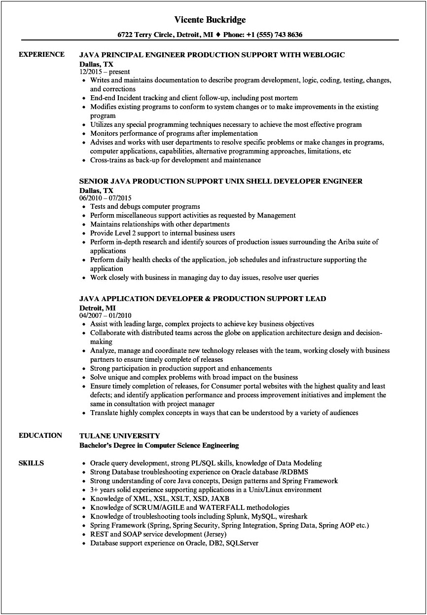 Support Engineer Resume With Java Experience