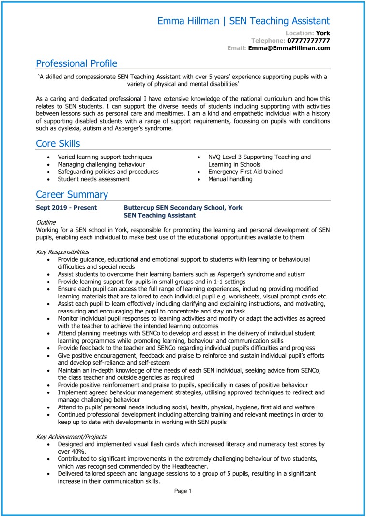 Ta Teaching Assistant Working Experience In Resume