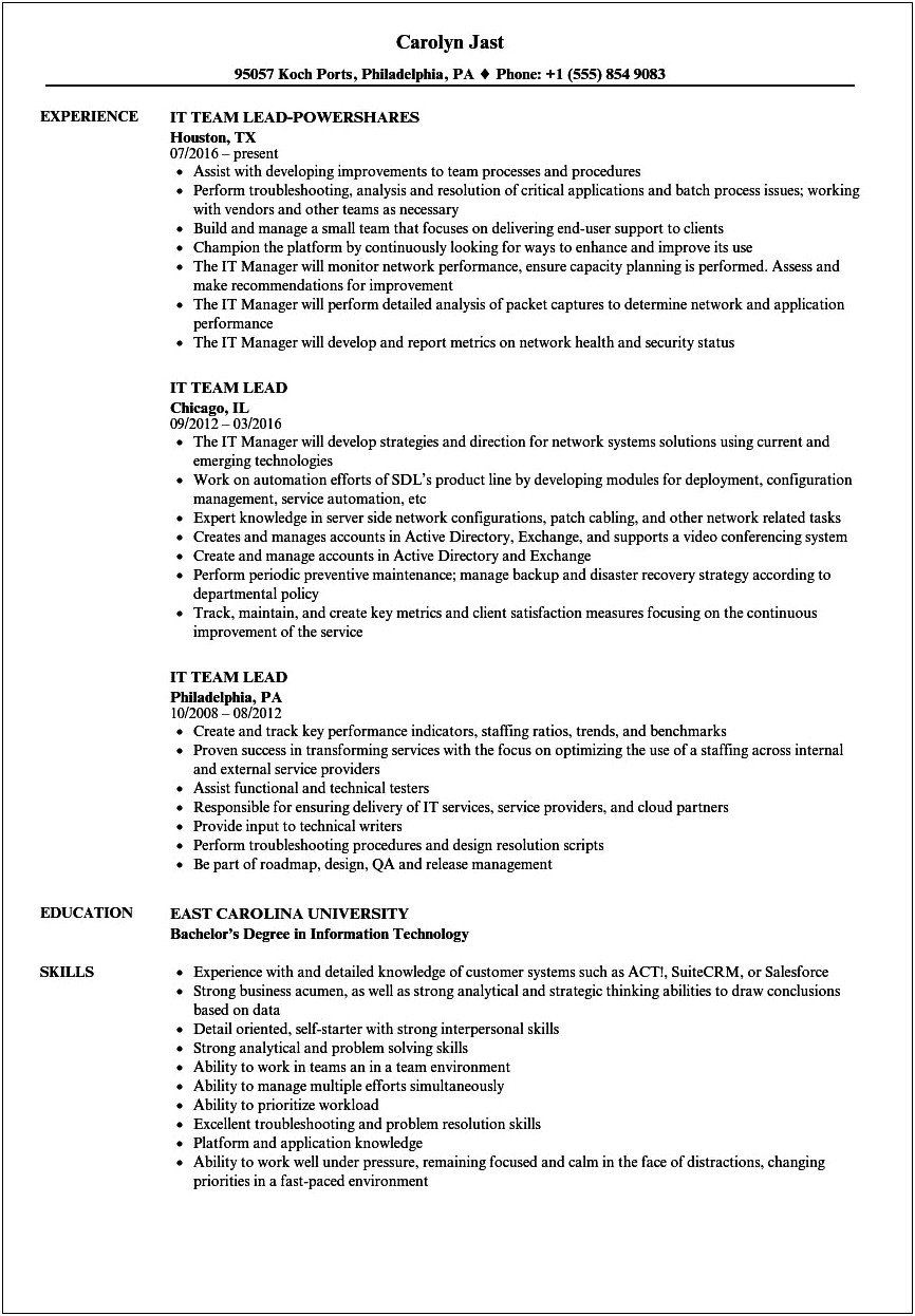 Team Leader Information Technology Resume Examples