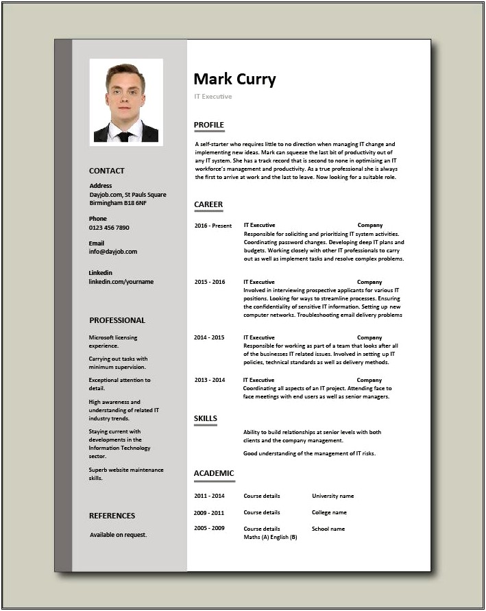 Technical Executive Resume Template Word Free Download