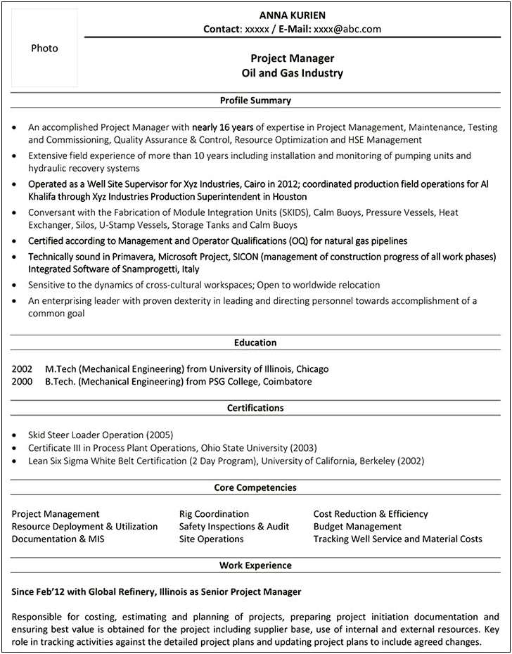 Telecom Project Manager Resume Sample India