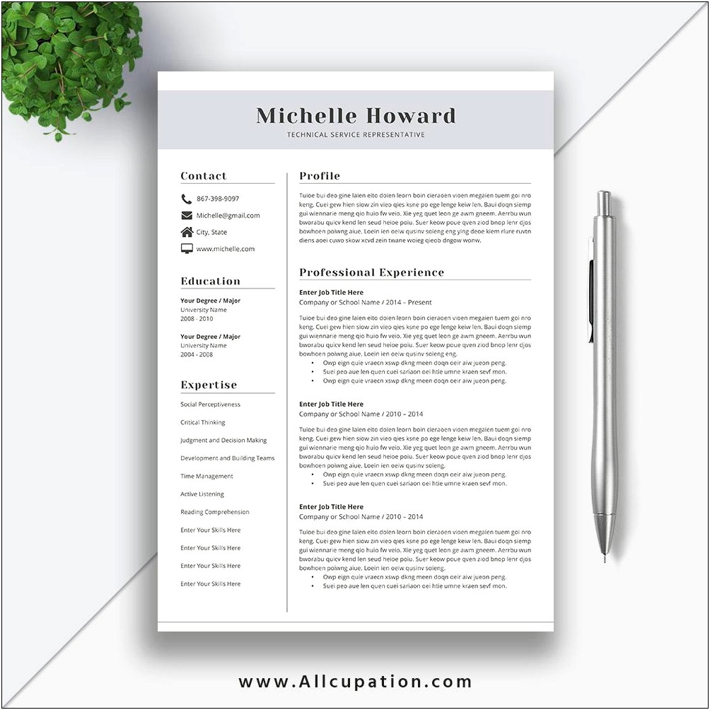 Template For A Simple Job Resume