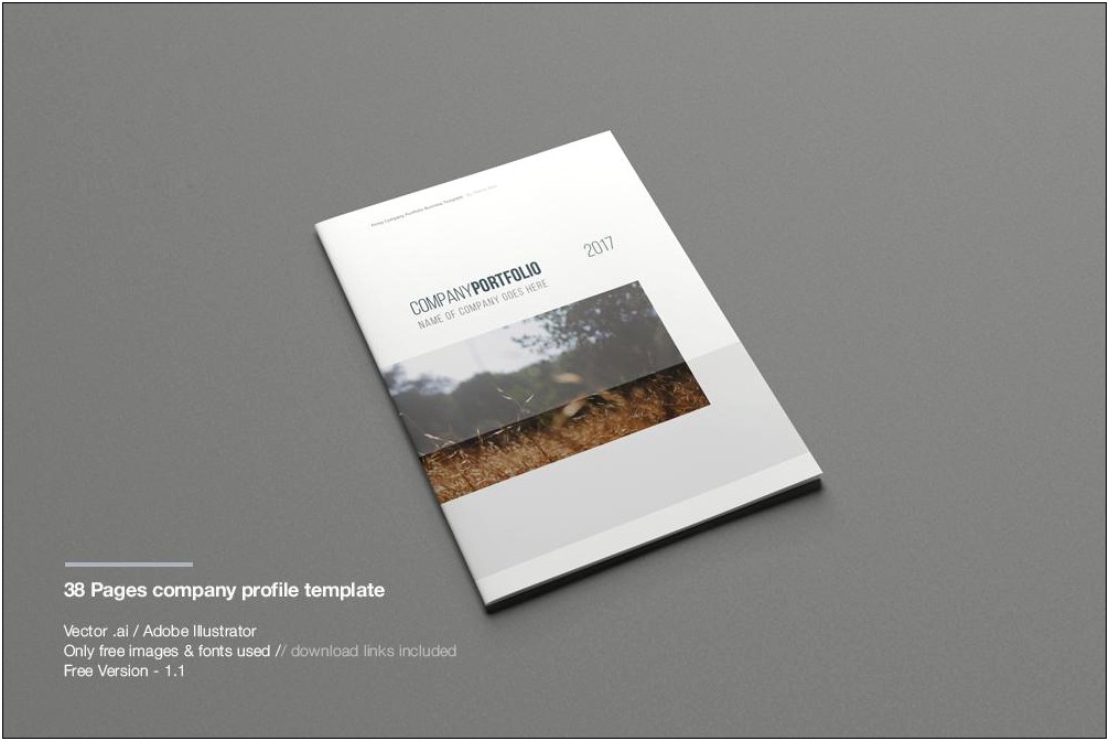 Template For Company Profile Free Download
