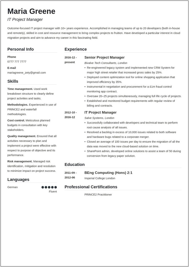 Template To Describe Project Management In Resume