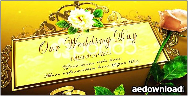 Template Wedding After Effect Free Download