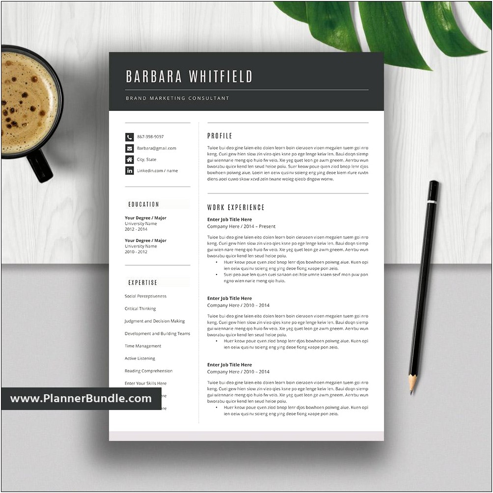 The Best Template For Resume In Word