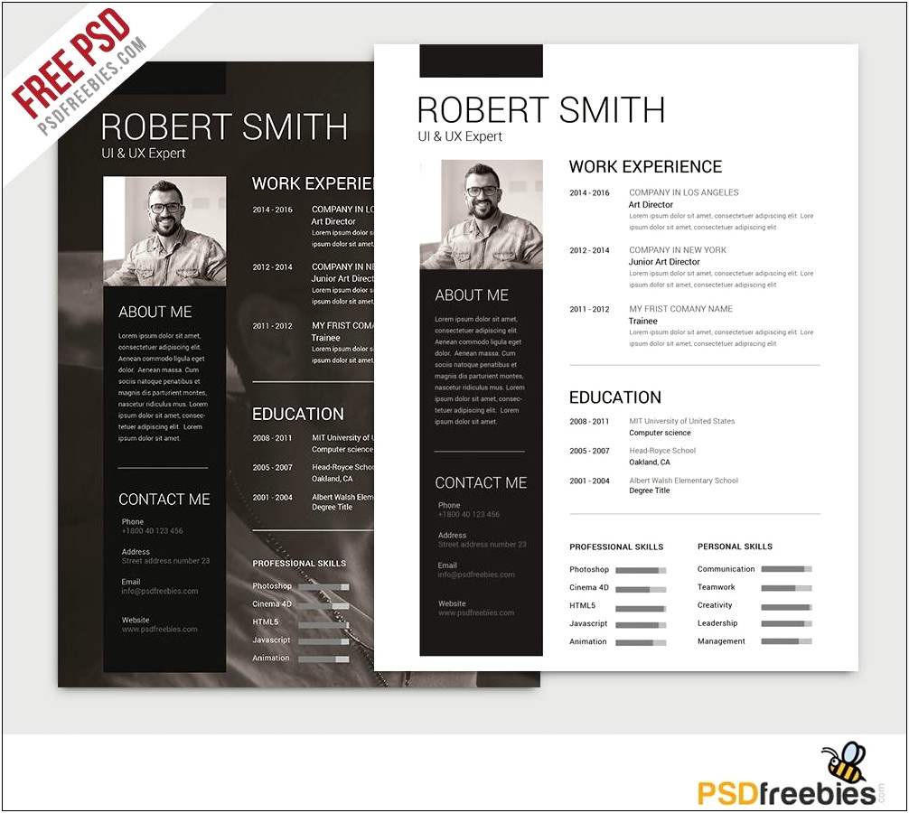 The Ideal Resume Free Modern Resume