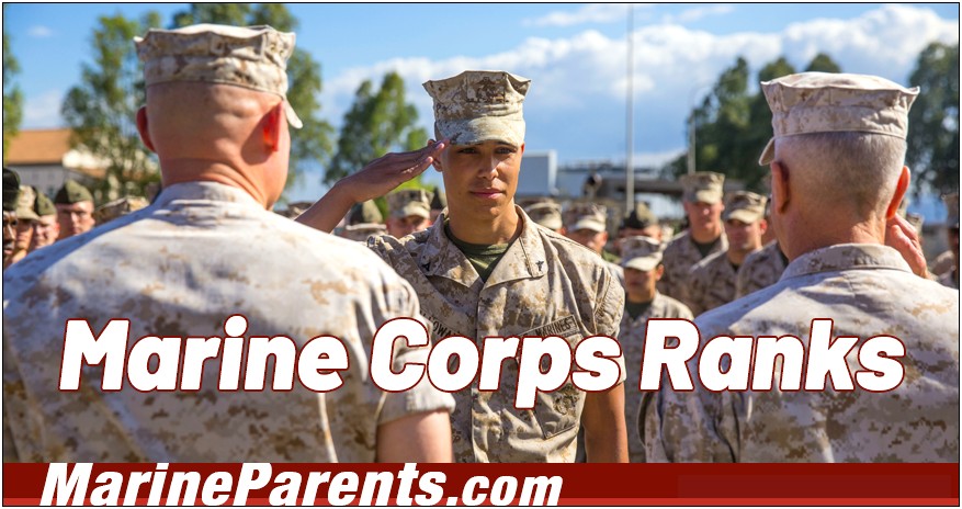 Us Marine Squad Leader Resume Sample