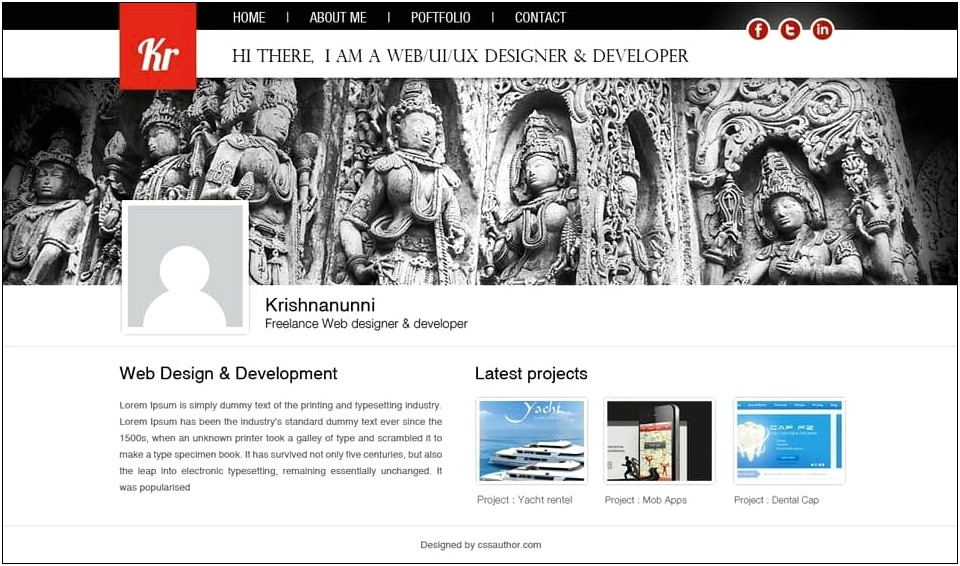 Web Developer Portfolio Templates Free Download