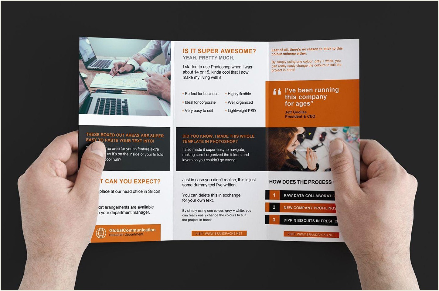 Business Tri Fold Brochure Templates Free