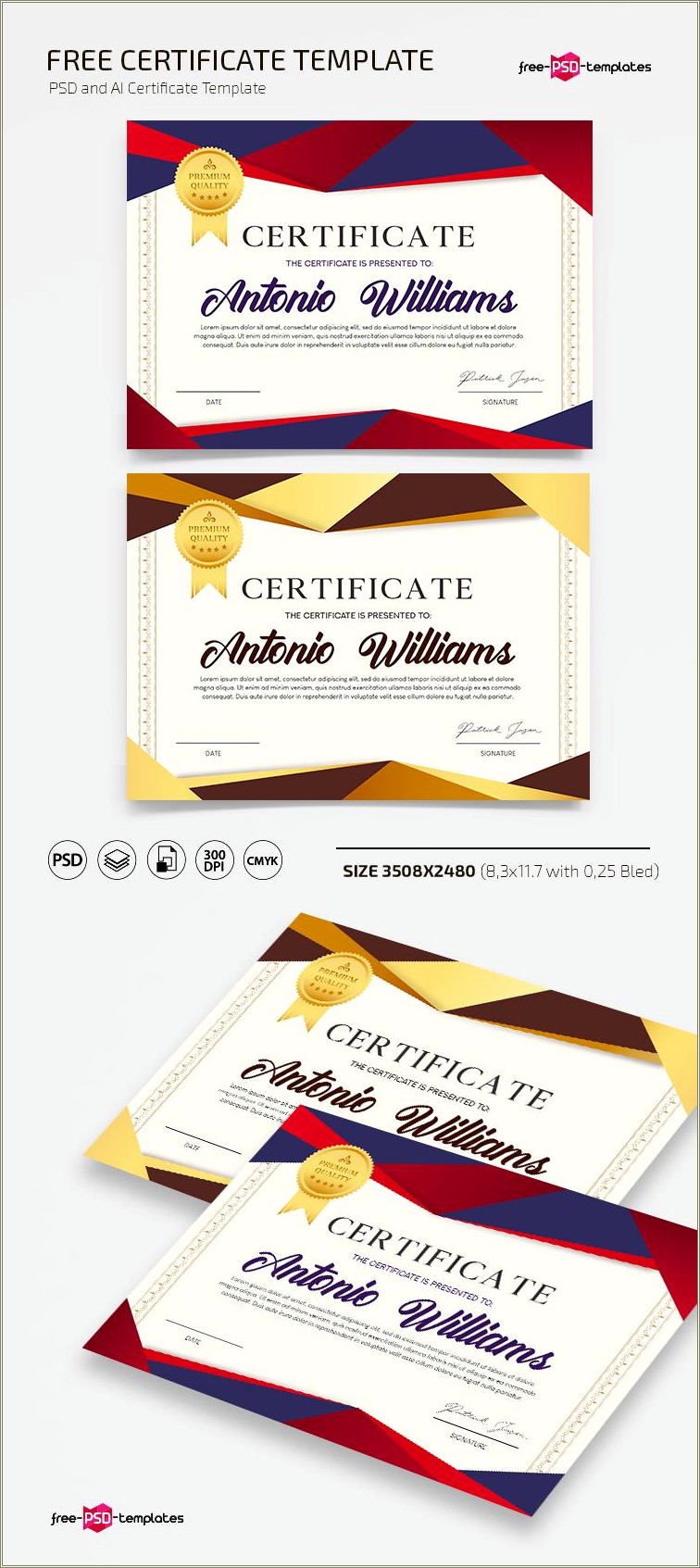 Certificate Design Template Free Download Psd