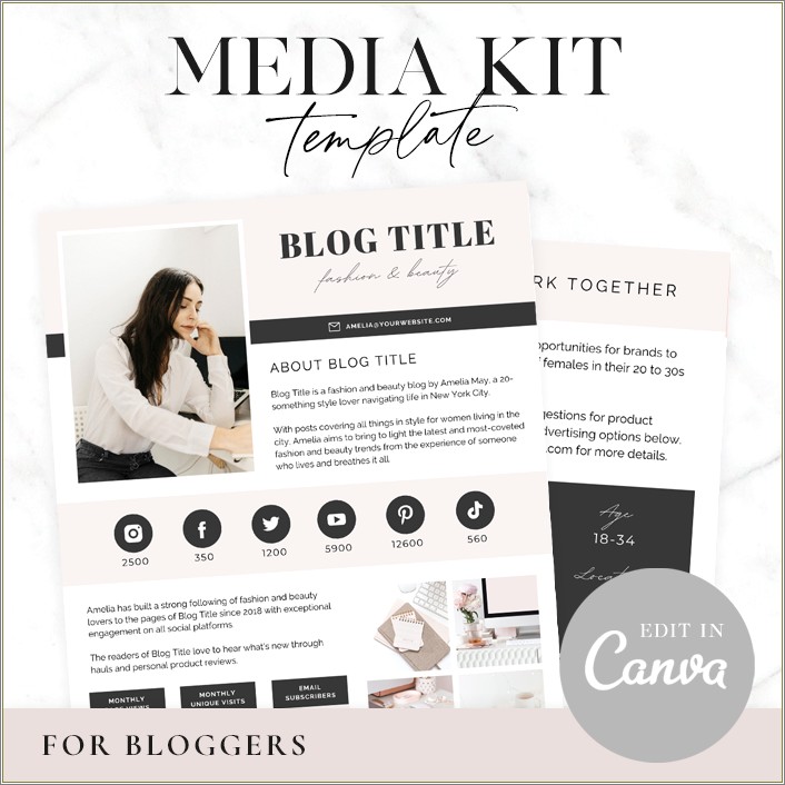 Free Blog Media Kit Template Picmonkey