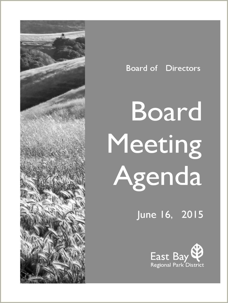 Free Board Meeting Agenda Template Word