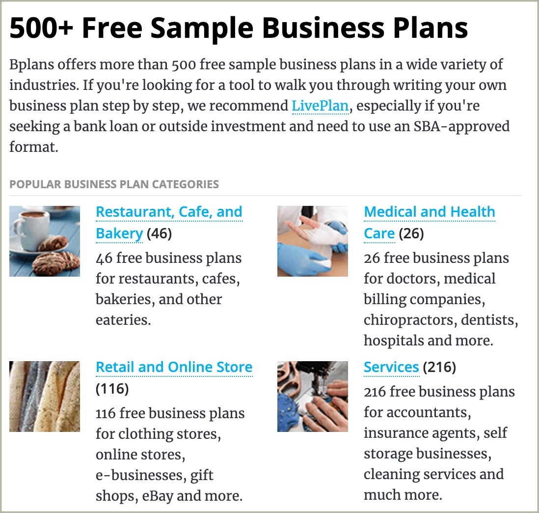 Free Online Store Business Plan Template