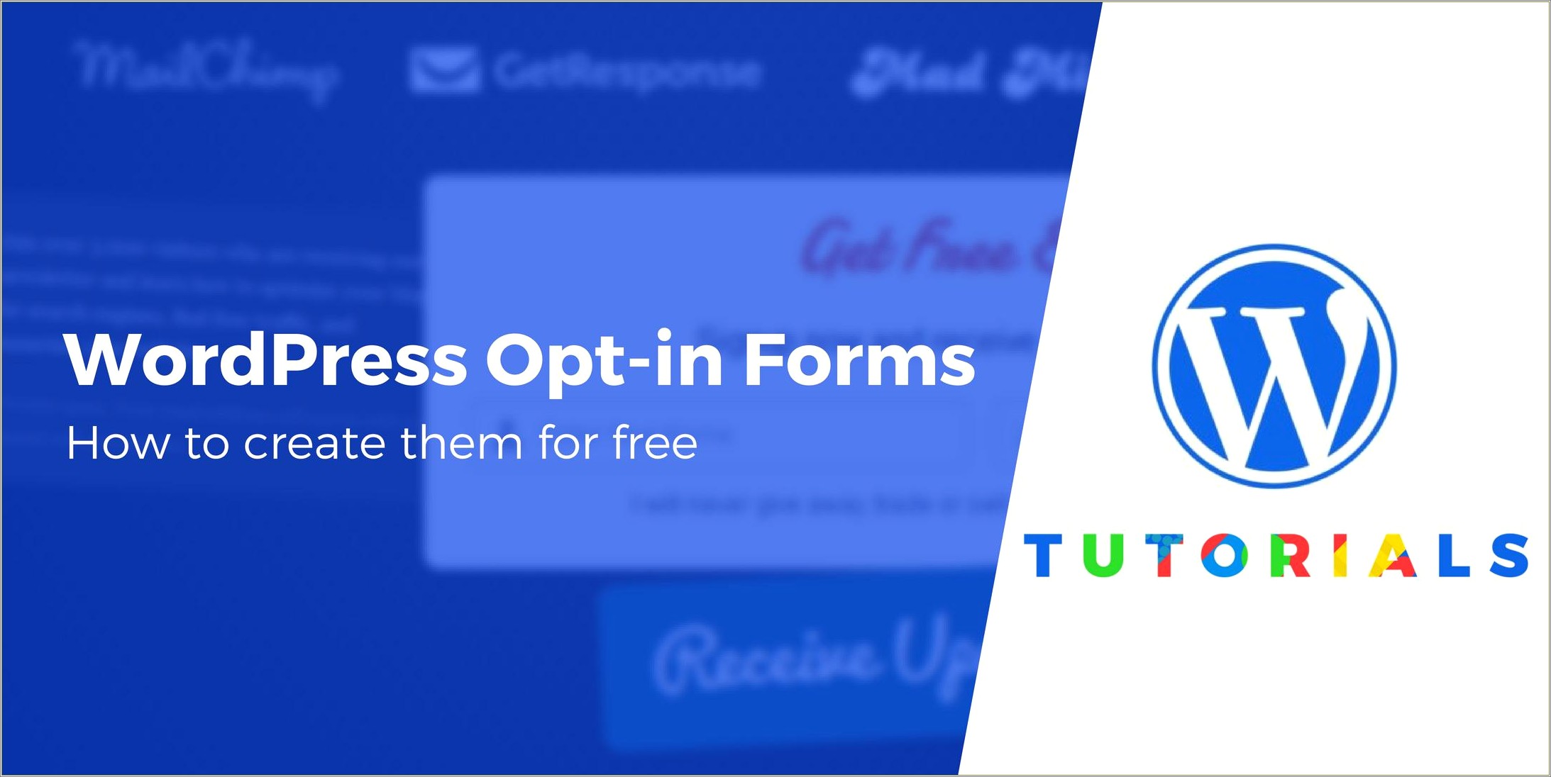 Free Opt In Form Templates Facebook