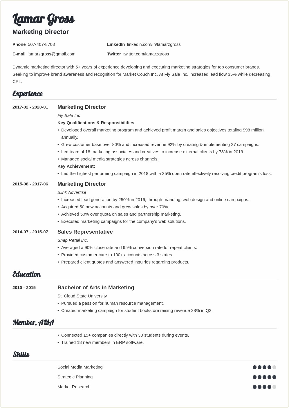 Vice President Of Marketing Resume Examples